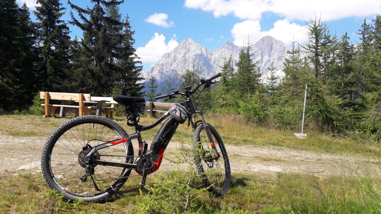 Pension Felsenheim Ramsau am Dachstein Εξωτερικό φωτογραφία
