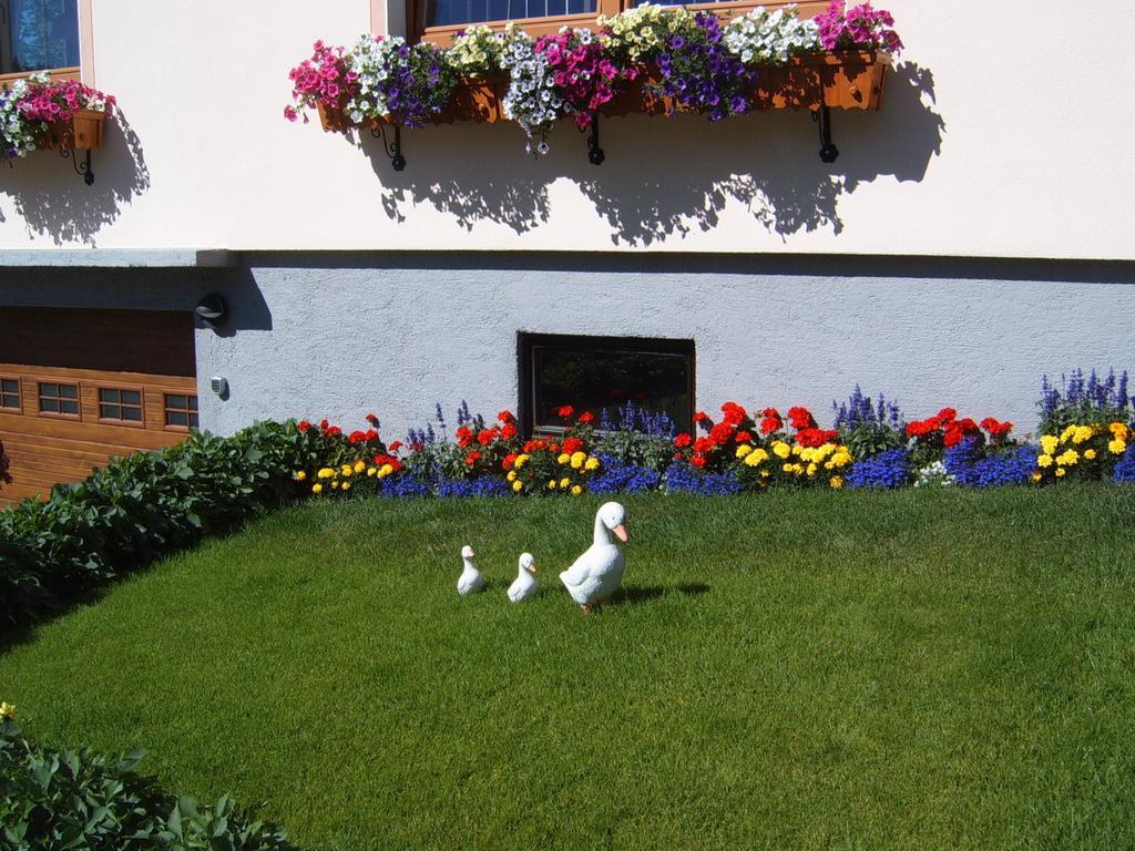 Pension Felsenheim Ramsau am Dachstein Εξωτερικό φωτογραφία