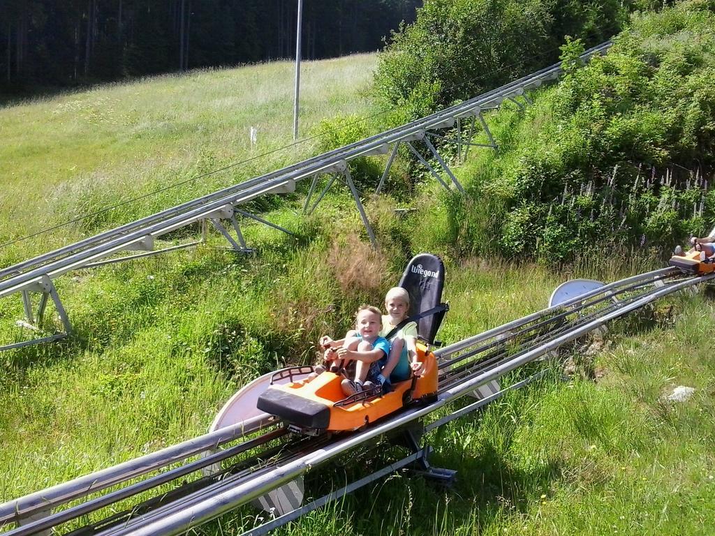 Pension Felsenheim Ramsau am Dachstein Εξωτερικό φωτογραφία