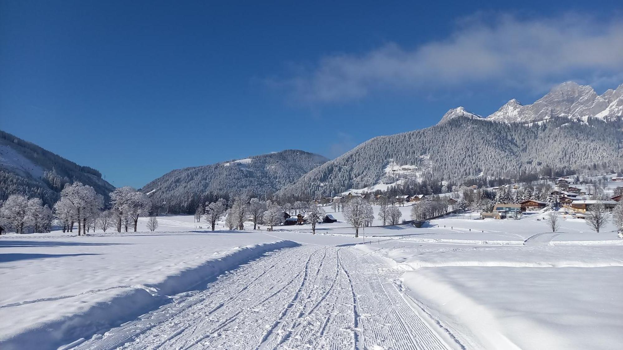 Pension Felsenheim Ramsau am Dachstein Εξωτερικό φωτογραφία