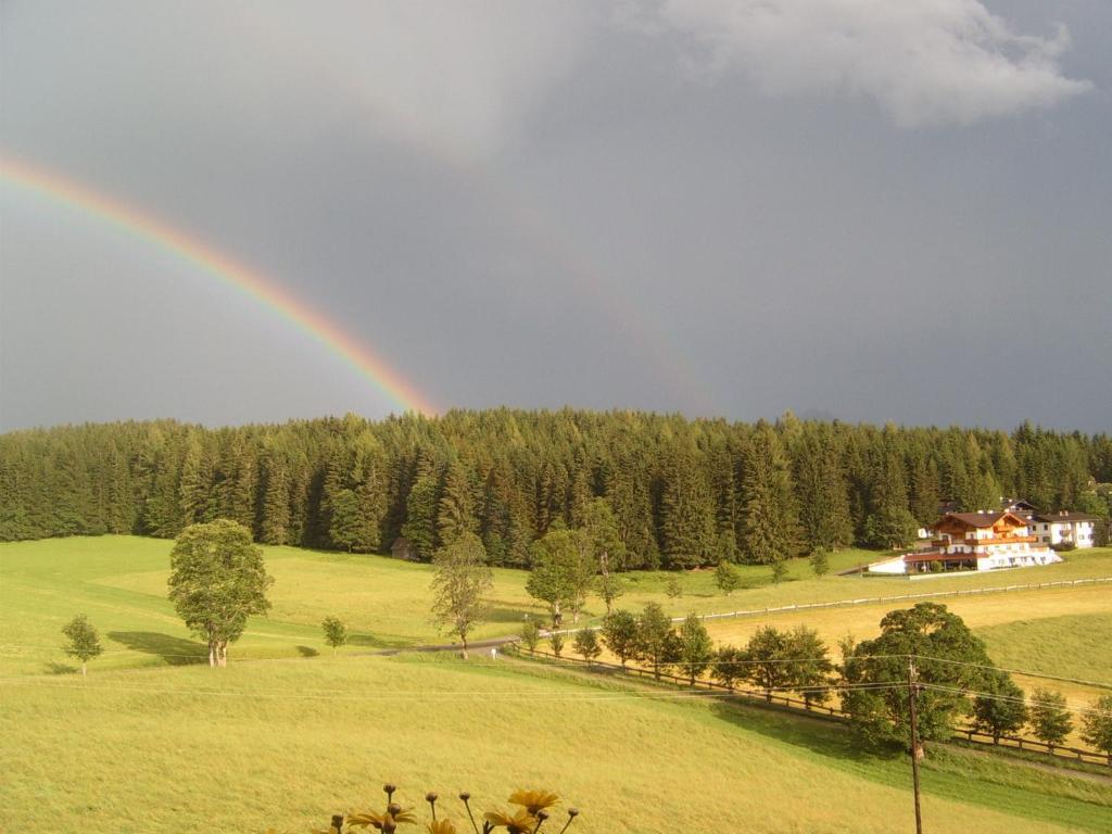 Pension Felsenheim Ramsau am Dachstein Δωμάτιο φωτογραφία
